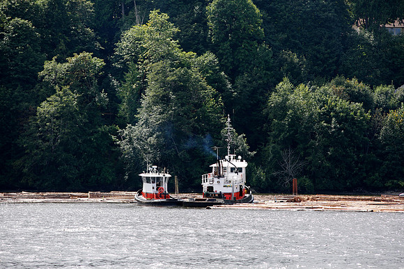 20130818_LegWA_0120ab