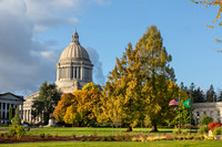 20201030_092842ab