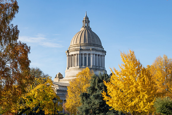 20211108_084301ab-2