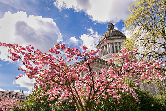 20150406_120102ab
