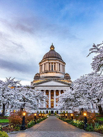 20250331_194708ab-3