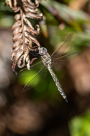 20200508_111409ab