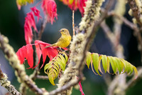20200916_105046ab