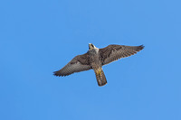 20210331_103047ab-2