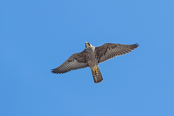 20210331_103047ab-2