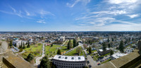 20090407_120725ab