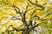 20171024_092445ab