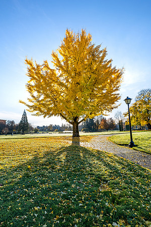 20211108_085803ab