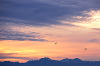 20130628_0257ab