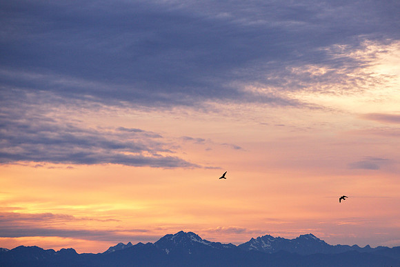 20130628_0257ab