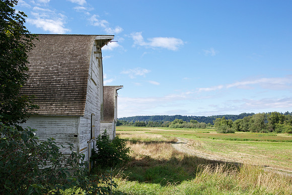 20130819_LegWA_0362ab