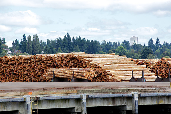 20130818_LegWA_0134ab
