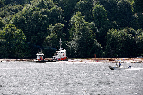 20130818_LegWA_0121ab
