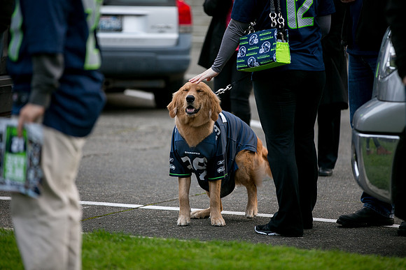 20150108_155248sc-4