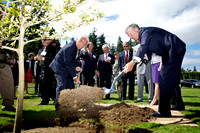Tree Planting