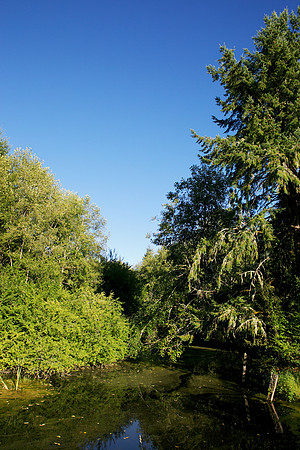 20130818_LegWA_0172ab