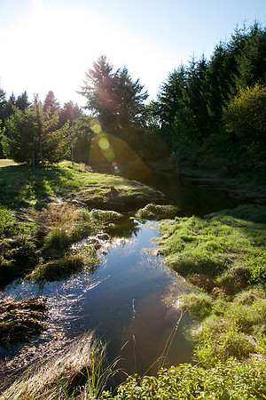 20130818_LegWA_0171ab