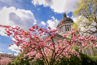 20150406_120102ab